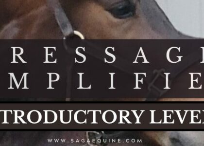 Dressage Simplified - Introductory Level Dressage Course