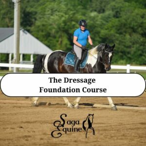 The Dressage Foundation Course